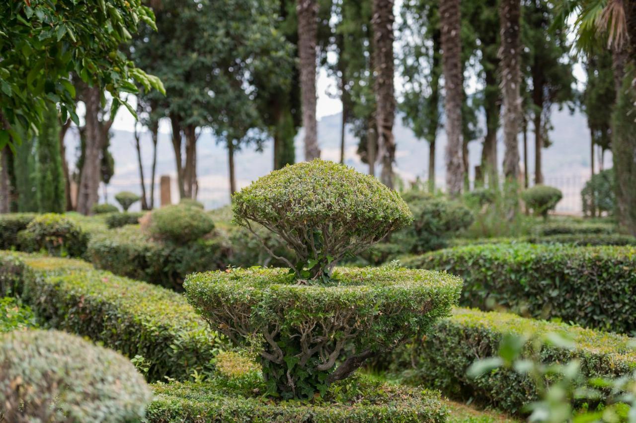 Castilla Termal 布里韦加 外观 照片